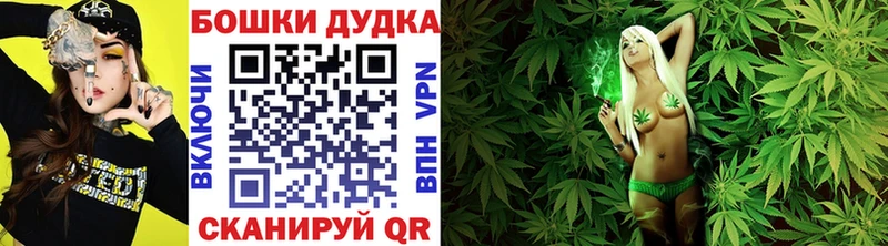 mega Тверь Бошки марихуана White Widow